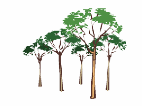 Arborcare Tree Logo